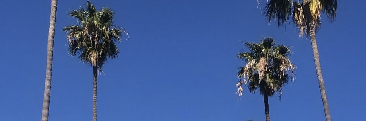 VicBillz's profile banner image
