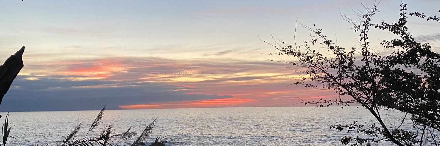monicarzz's profile banner image