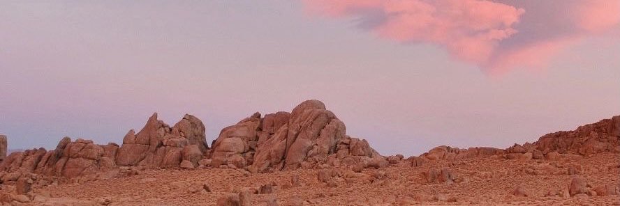 PlantTestBeta's profile banner image
