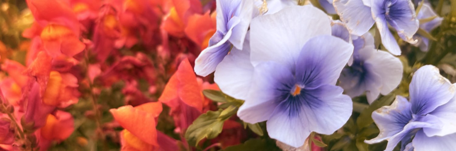 Knkm0972's profile banner image