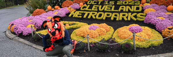 SherbertTheFox Profile Banner