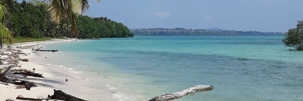 Zenoctate Profile Banner