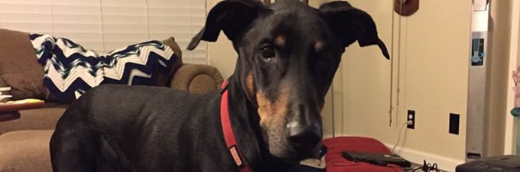 colleen444's profile banner image