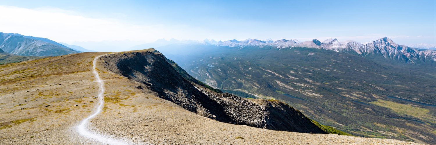 Ewen_Lewis's profile banner image
