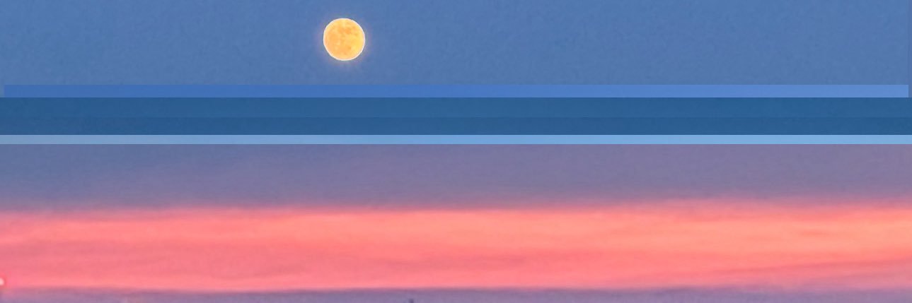 Belle banner