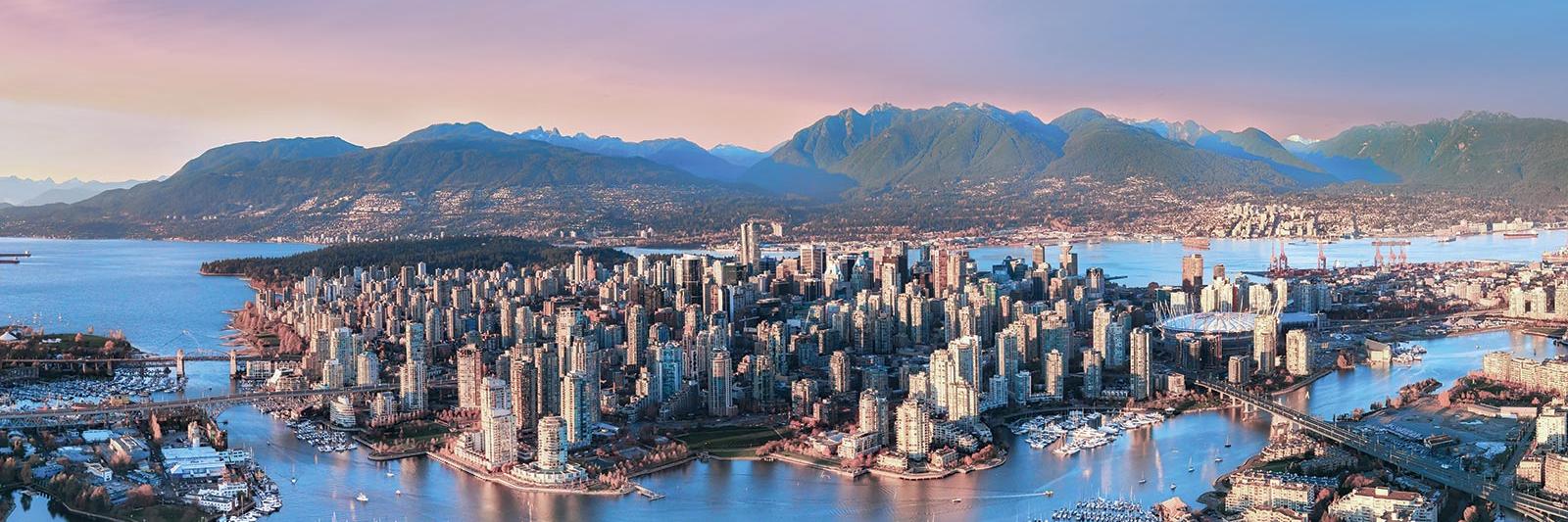 David Hardisty banner