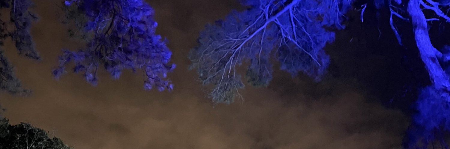 Rose_sgl's profile banner image