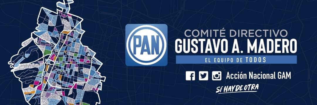 Comité PAN GAM banner