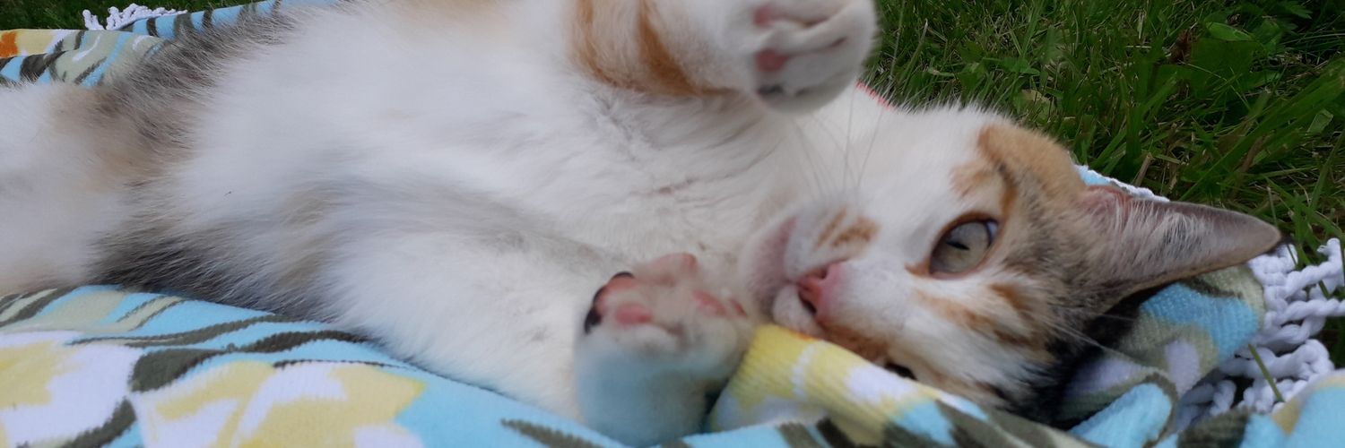 AliceAPDMS's profile banner image
