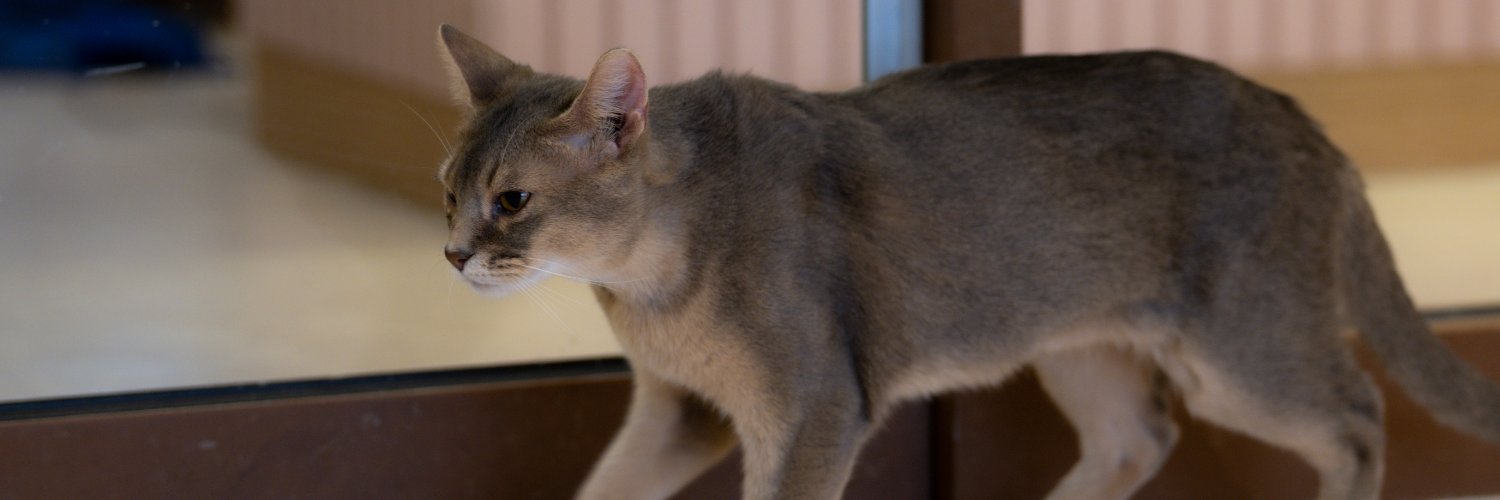 고영이ㄱㅇㅇ banner