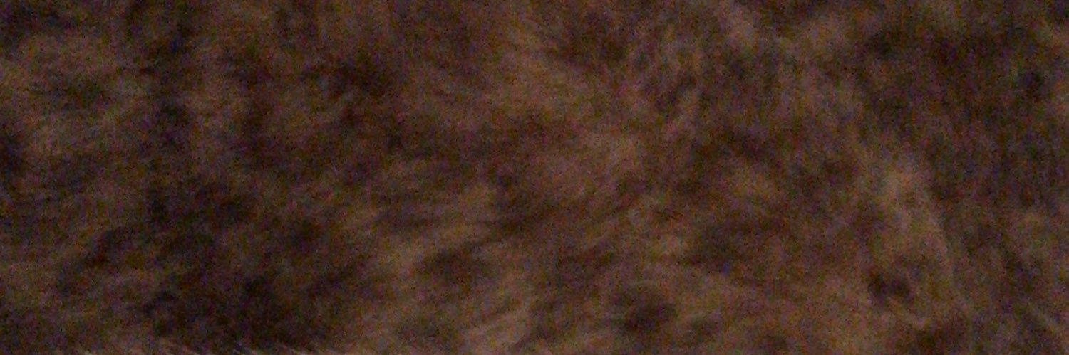 EngleGail's profile banner image