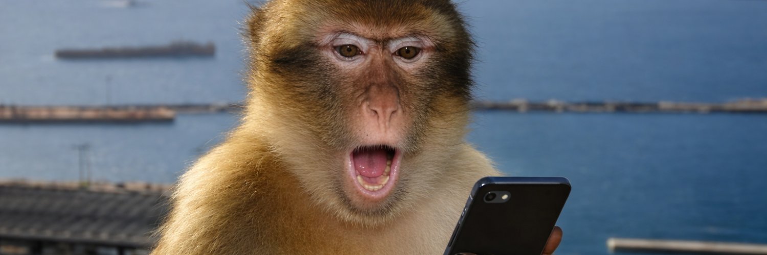 KAYRA🇳🇬#tedesoc banner