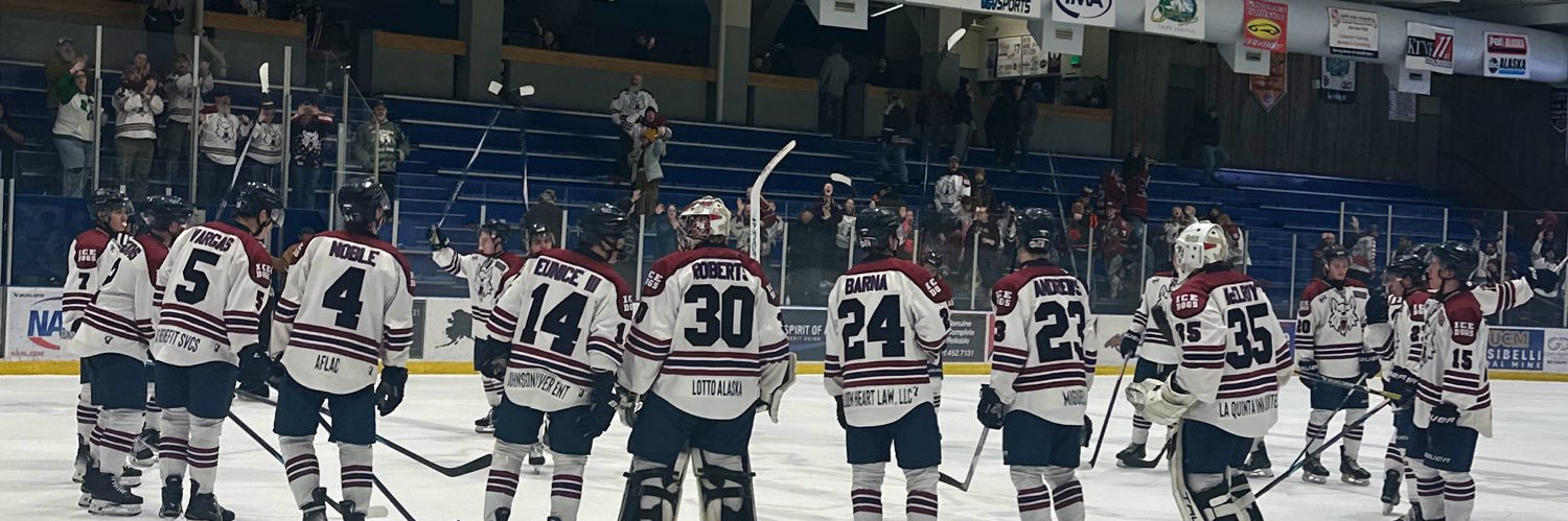 Fairbanks Ice Dogs banner