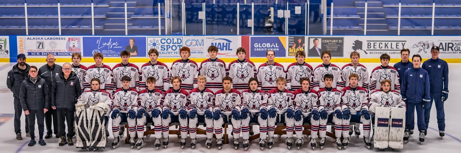 Fairbanks Ice Dogs banner