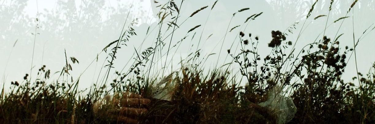 melissaursel's profile banner image