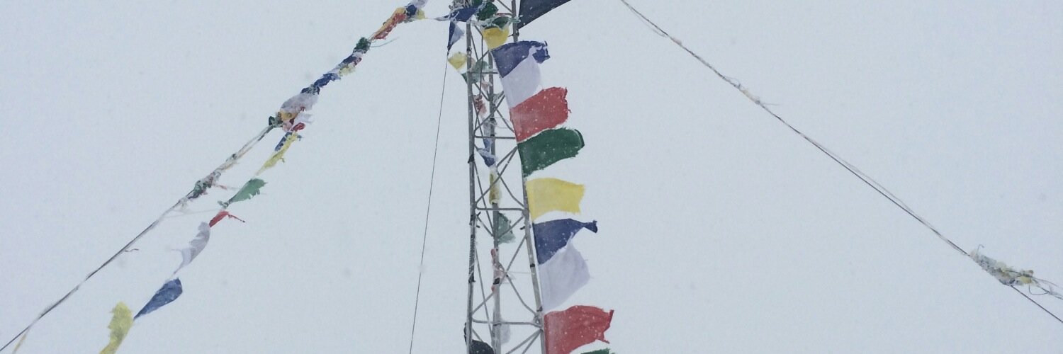 Alyssa Roenigk banner