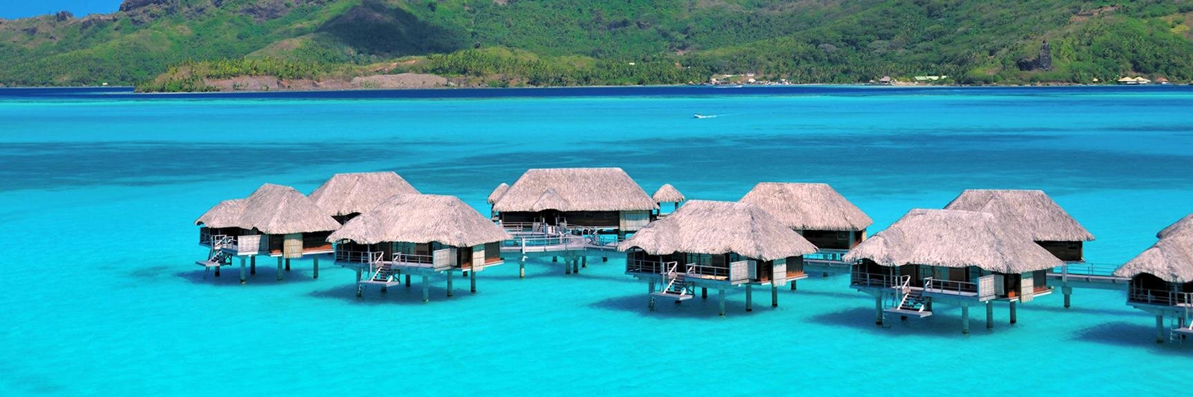 Michael Salvetti banner