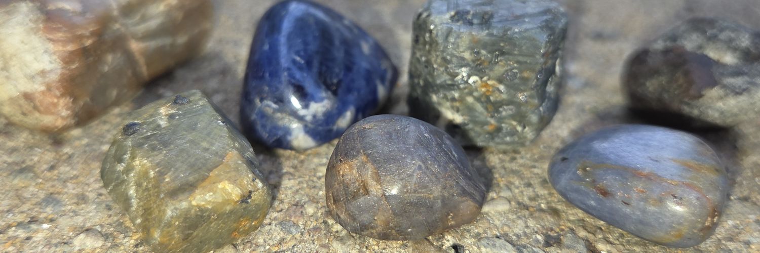 Miranda Price banner