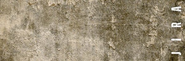 TYPHFIGHTER Profile Banner