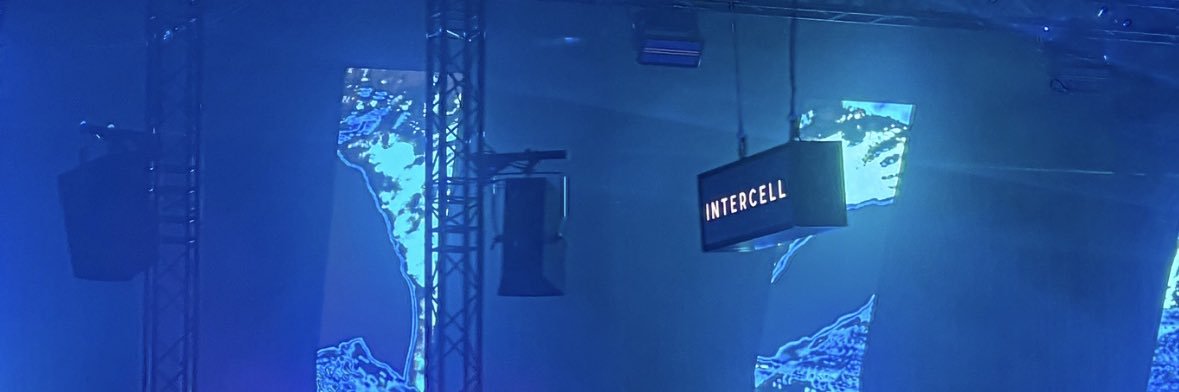 izzy b😎 banner