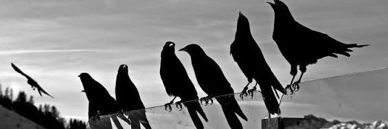 ₊✩‧₊˚ƁƖƓ ⳜƖⳜƬƸⱤ ⰙƑ ⳜǶƬⱲƬ₊✩‧₊ banner