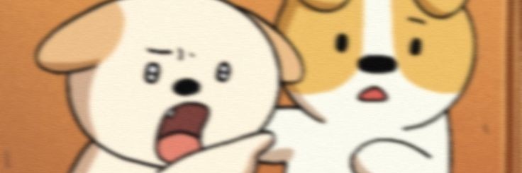 cei banner