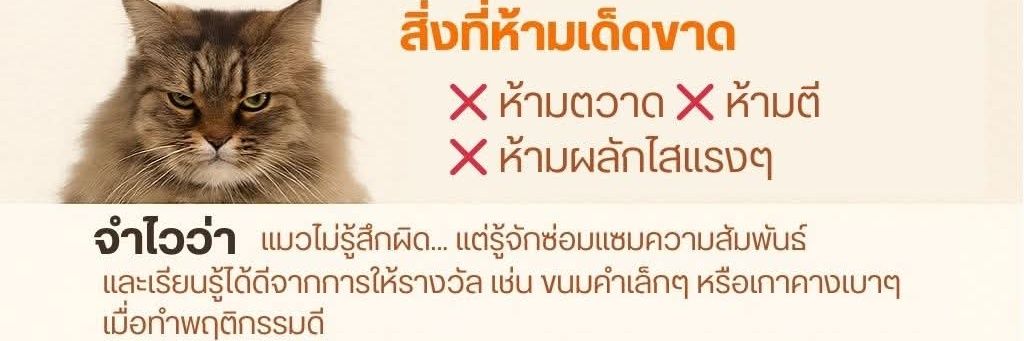 🎁 Giftintouch🏅😸 banner