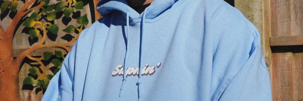 sapninstore Profile Banner