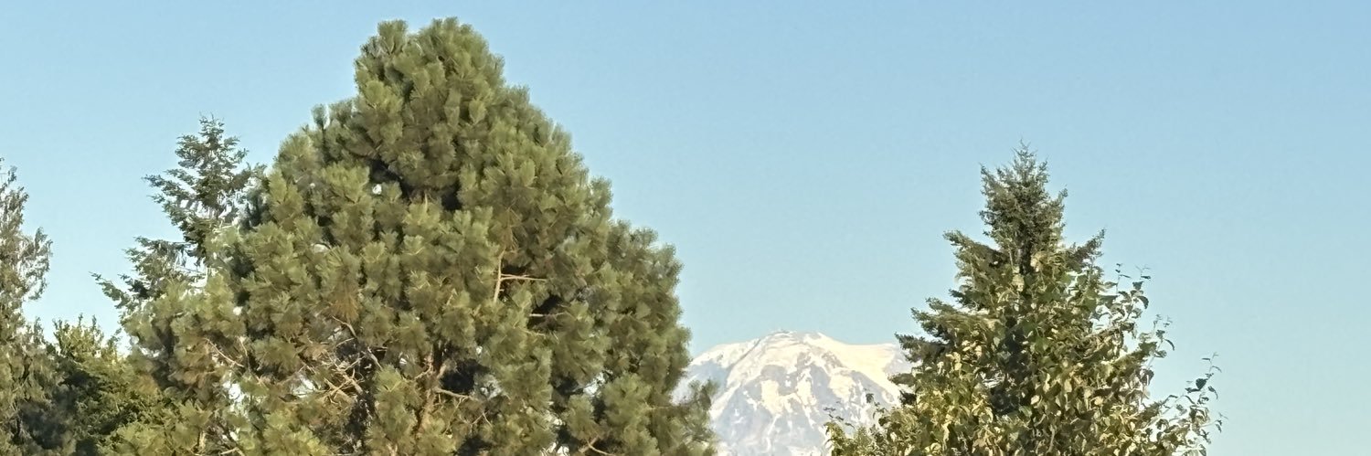 owntopguy's profile banner image