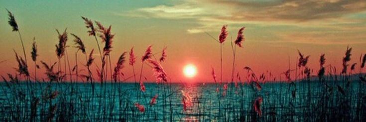 PinkyM_Official's profile banner image