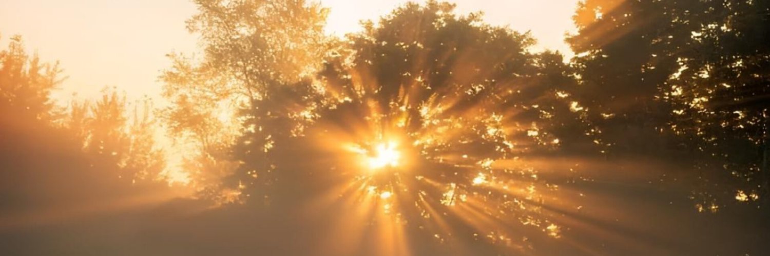 9werxi's profile banner image