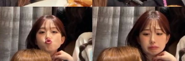 meowwow222 Profile Banner