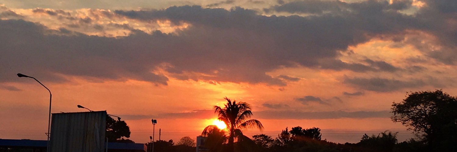 marianip14's profile banner image