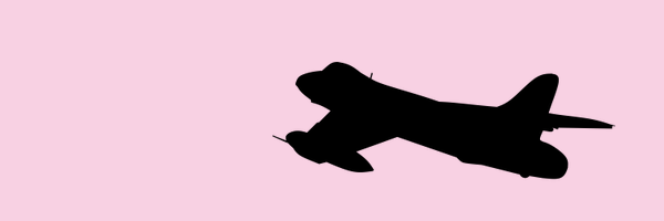bayardsurveyor Profile Banner