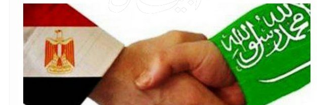 nzeh_plas's profile banner image