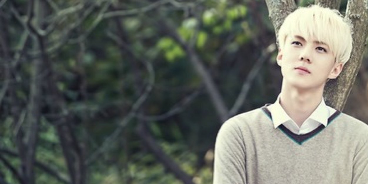 xoodel's profile banner image