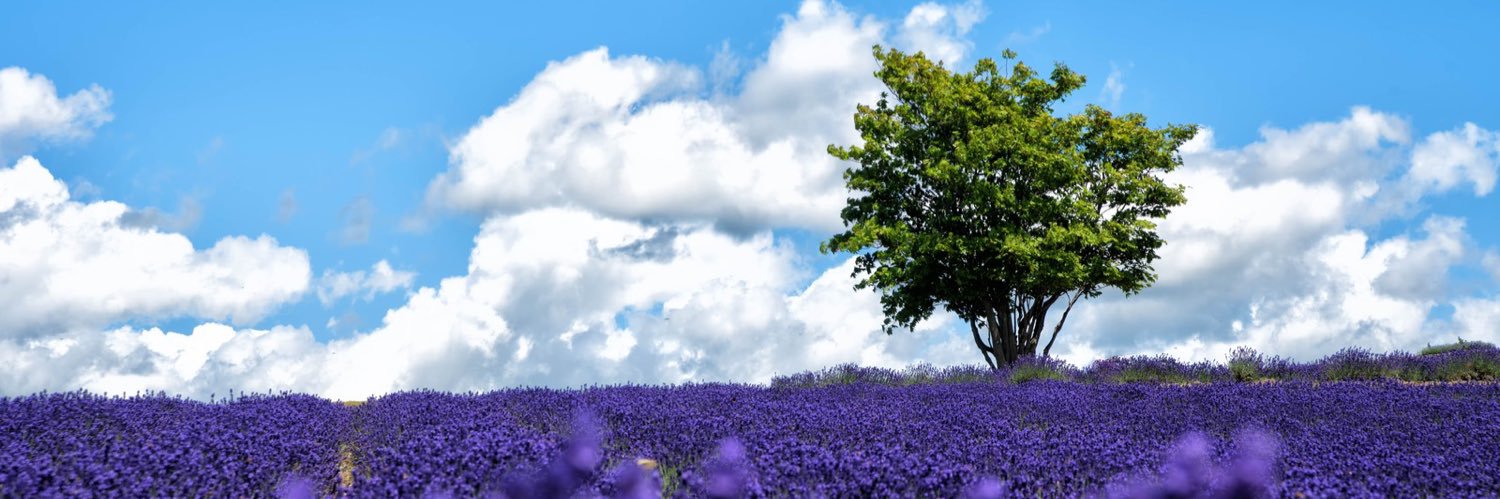 Chaho_UK's profile banner image