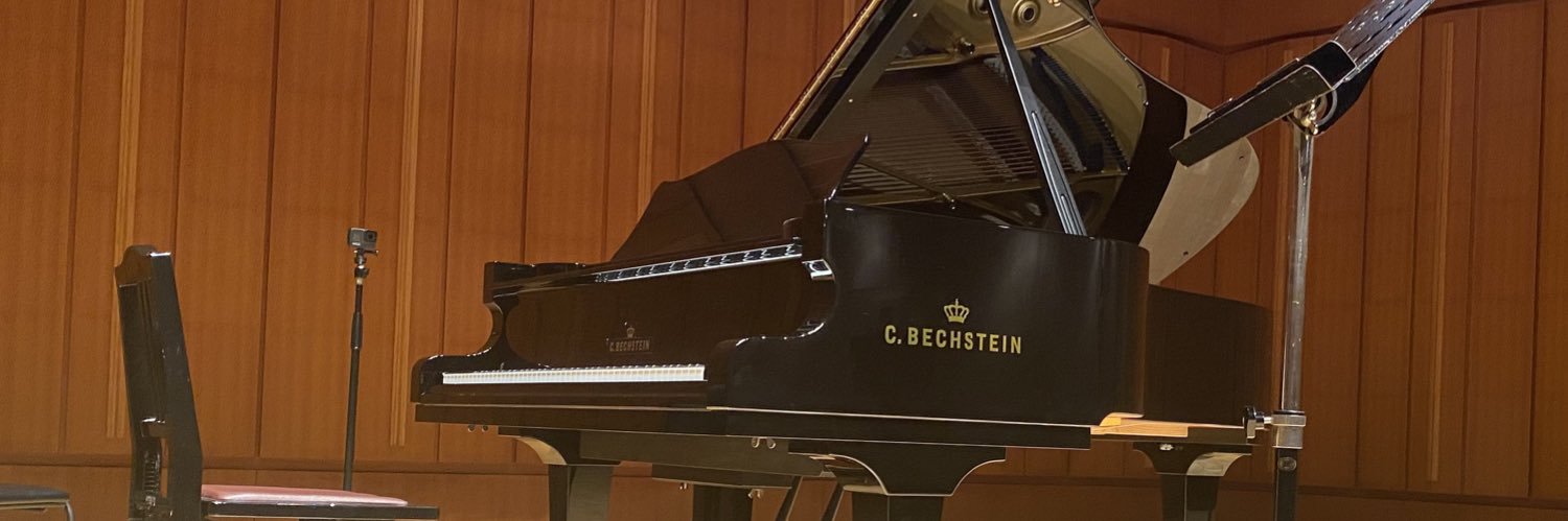 o0bechstein0o's profile banner image
