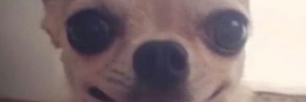 ChunSidekick Profile Banner