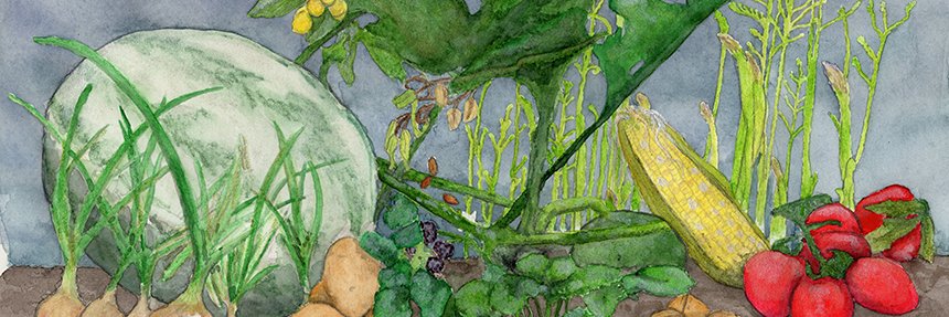 Dr Dayanna Knight banner