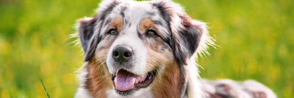 SmitOnX77 Profile Banner