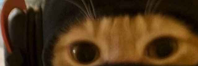 Floowandereeze banner