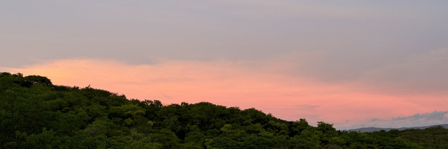 ocampojj's profile banner image