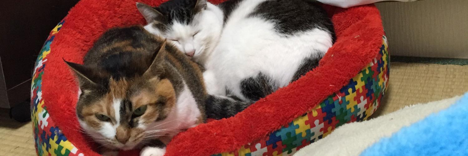 チナえもん banner