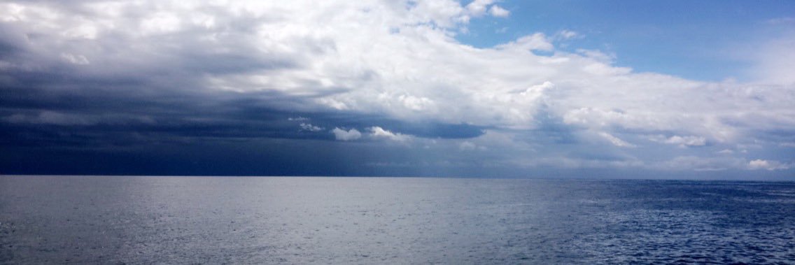 ilsee95's profile banner image