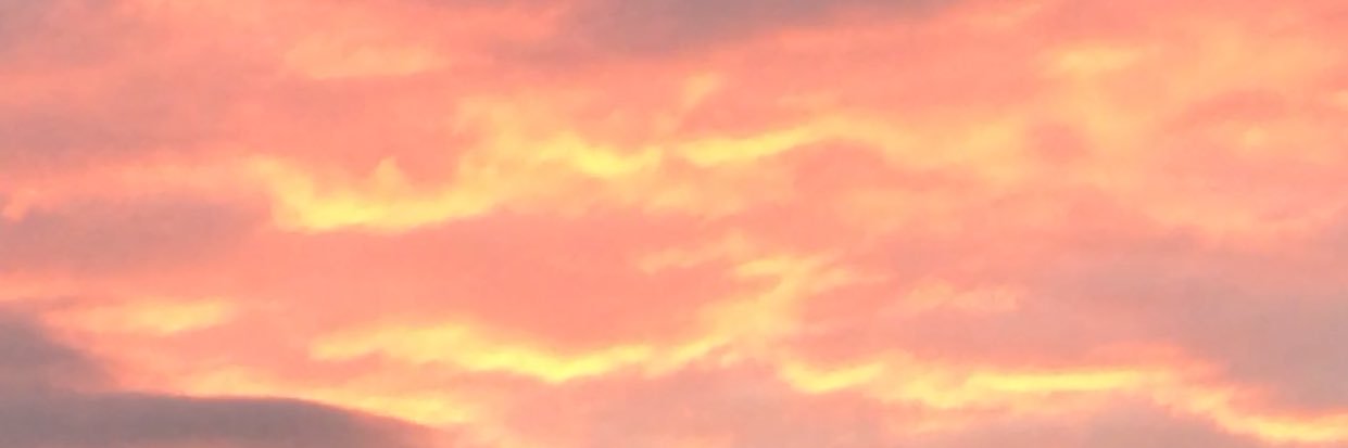 .'s banner