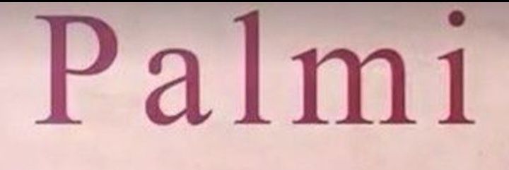 Palmi banner