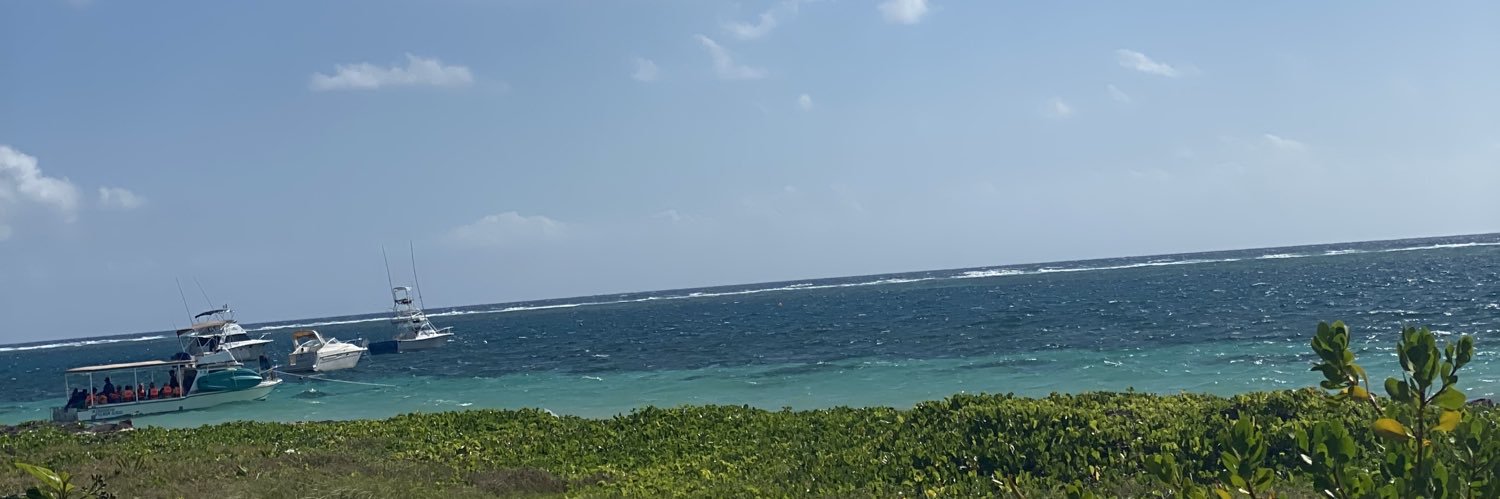 Mariselaviapri's profile banner image