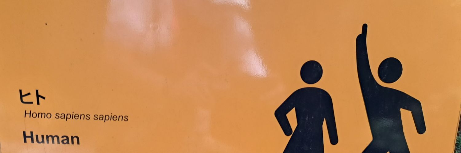 tunter4013's profile banner image
