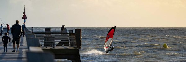 AlinaTaranik Profile Banner